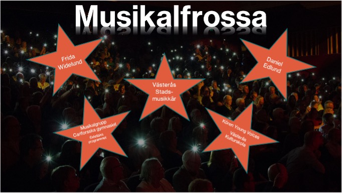 251113_Musikalfrossa