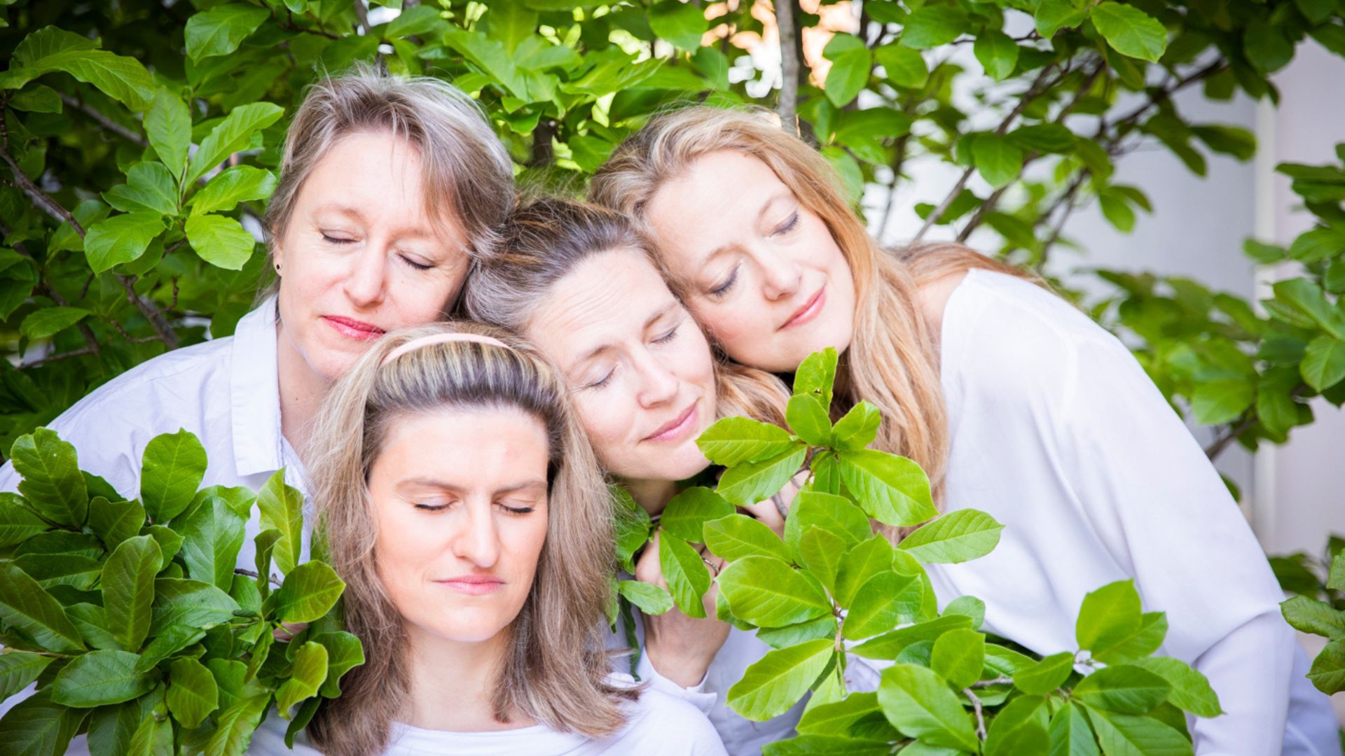 260423_Zilliacuskvartetten_1920x1080 (1)