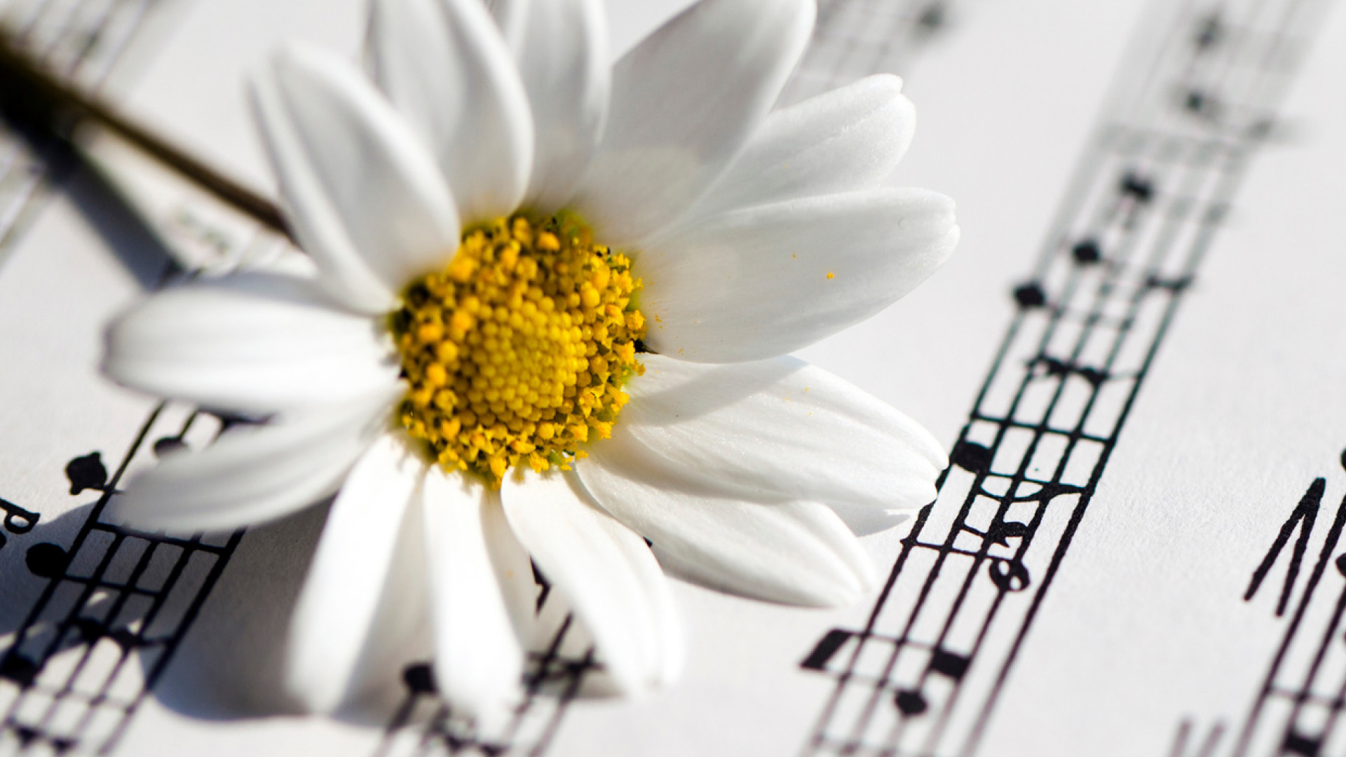 260527_Vårcaprice_1920x1080