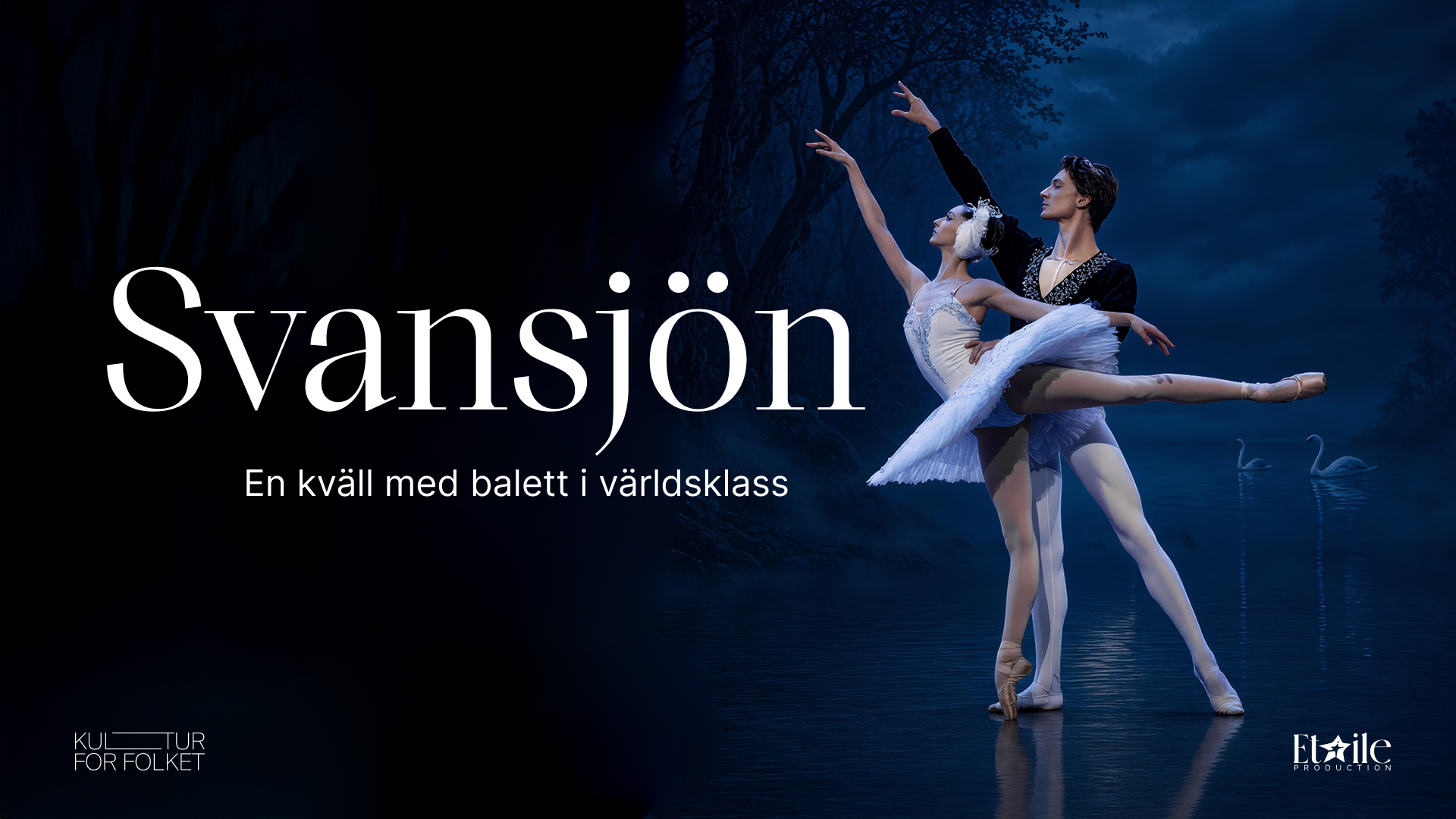 swan-lake-Vasteras -1920x1080